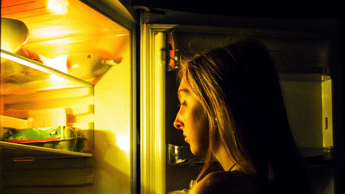 Importance of Refrigerator Lighting