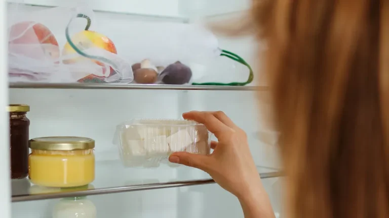 Why Refrigerator Light Panels Matter for Food Storage